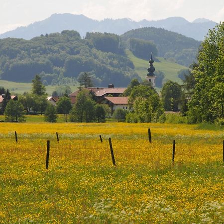 Ferienwohnungen Im Alpengaestehaus Marzoll - Bad Reichenhall Εξωτερικό φωτογραφία